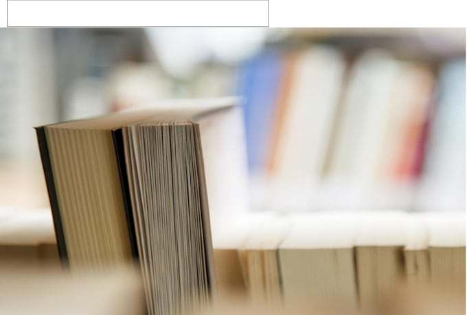 provide expert support for obu rap project, guidance and mentoring
